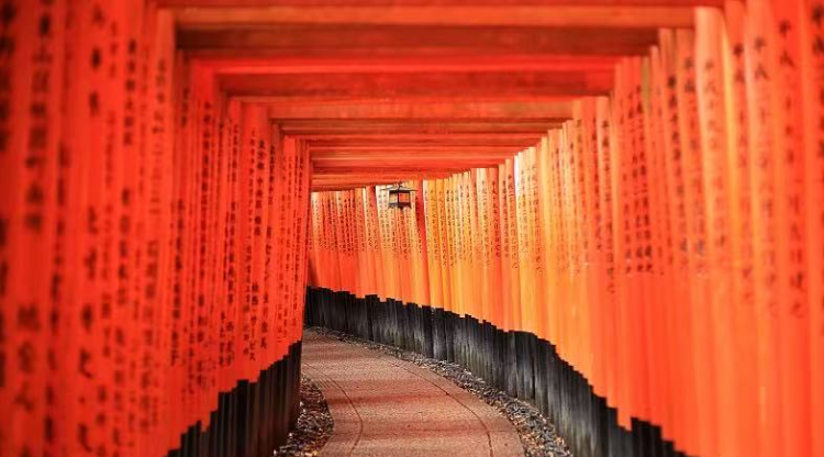 大阪発｜京都・奈良 日帰りバスツアー 4